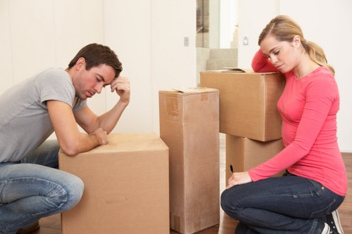 Packing and preparation for a move in Westminster